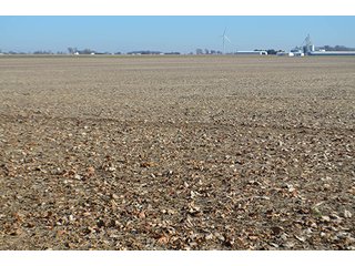 Tract 3 - FARMLAND AUCTION - 165.5+/- ACRES OFFERED IN 5 TRACTS OR COMBINATIONS IN EAST ALLEN COUNTY